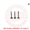 GAZ 4061007012 Exhaust Valve